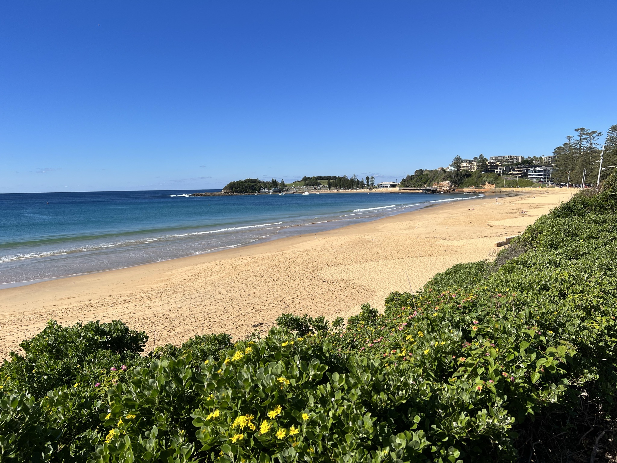 Mobile uploads